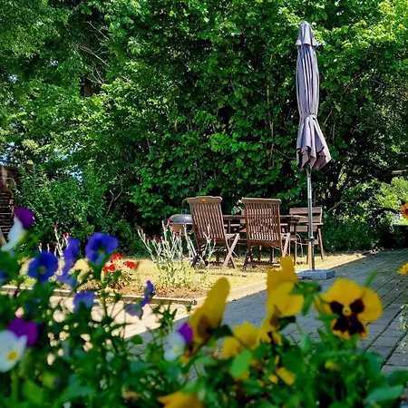 W5 - Urlaubsmagie - Wohnung Mit Grill, Terrasse & Pool Lichtenhain  Eksteriør billede