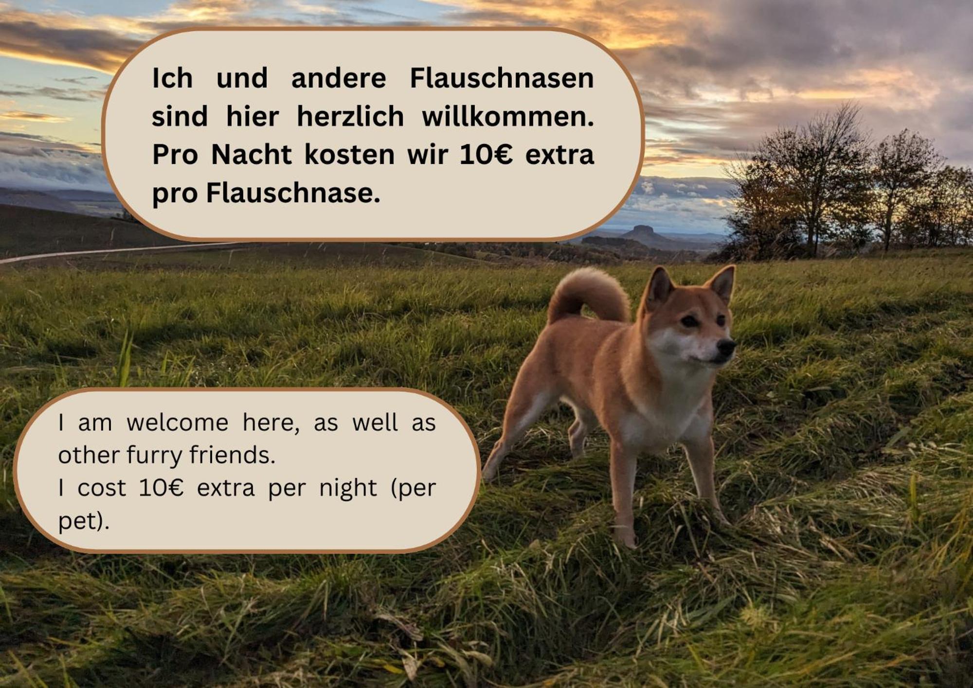 W5 - Urlaubsmagie - Mit Grill, Terrasse & Pool Lejlighed Lichtenhain (Sebnitz)
